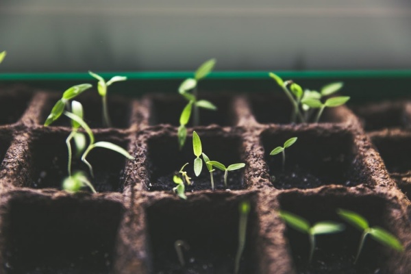 Kneron closes Series A2 round of $40m with Horizons Ventures leading  | Kneron – Full Stack Edge AI