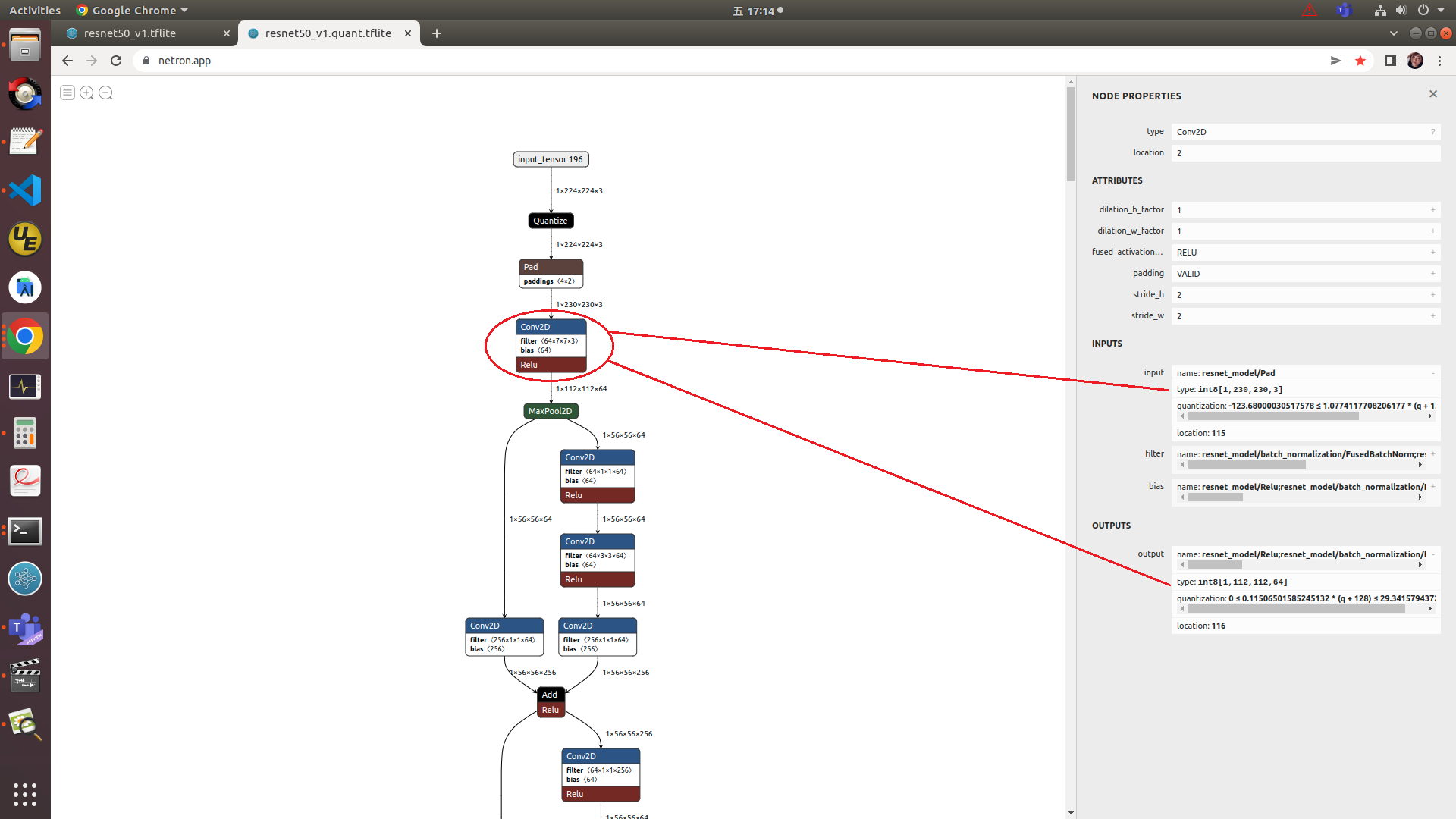 resnet50_v1.quant.tflite.png