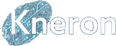 Kneron